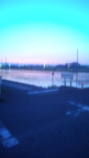 tCf[iCgtB[o[