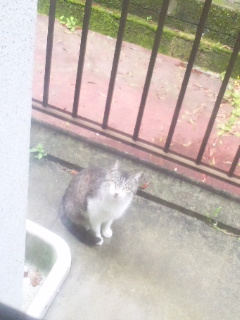 ɂ[
