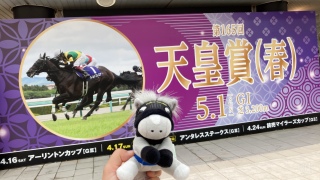 阪神競馬場キター！