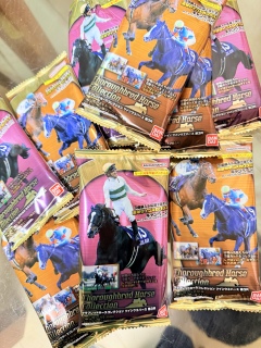 �ۋ��K�b�c�|�[�Y