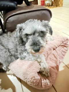 ��l�̓���