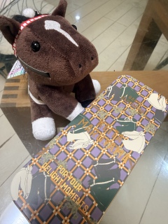 �ʂ������Ĕ�����