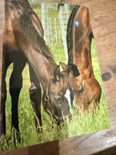 �����Ɛ����̎q