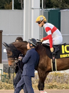 �����΂��L�O