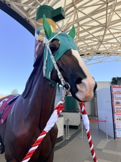 ���N�������J��