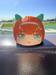 ����2����