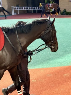 �N�C�[���Y�E�H�[�N�����