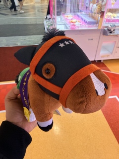 �A�������