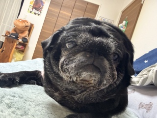 �Q��O�̂ȂłȂŃ^�C��