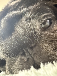 �����ߋ���