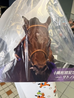 �V���[��������