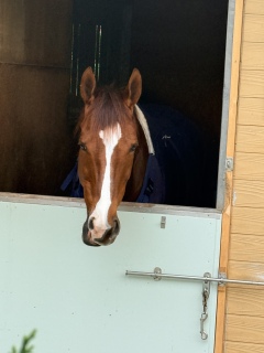 �Ђ������A�t���S