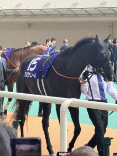 �ł�����N����