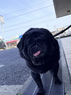 �����ł�́[��