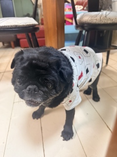 �����Ă݂�