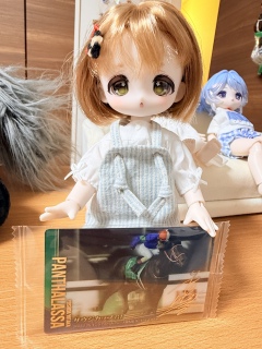 �X�^�R���T�b�T��