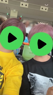 �������̃V�F�P�i